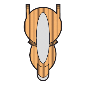 deck image