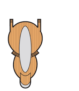 deck image